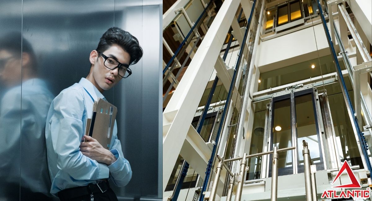 Xu hướng gần đây ưu tiên tối ưu ánh sáng, không gian mở và thiết kế tinh giản