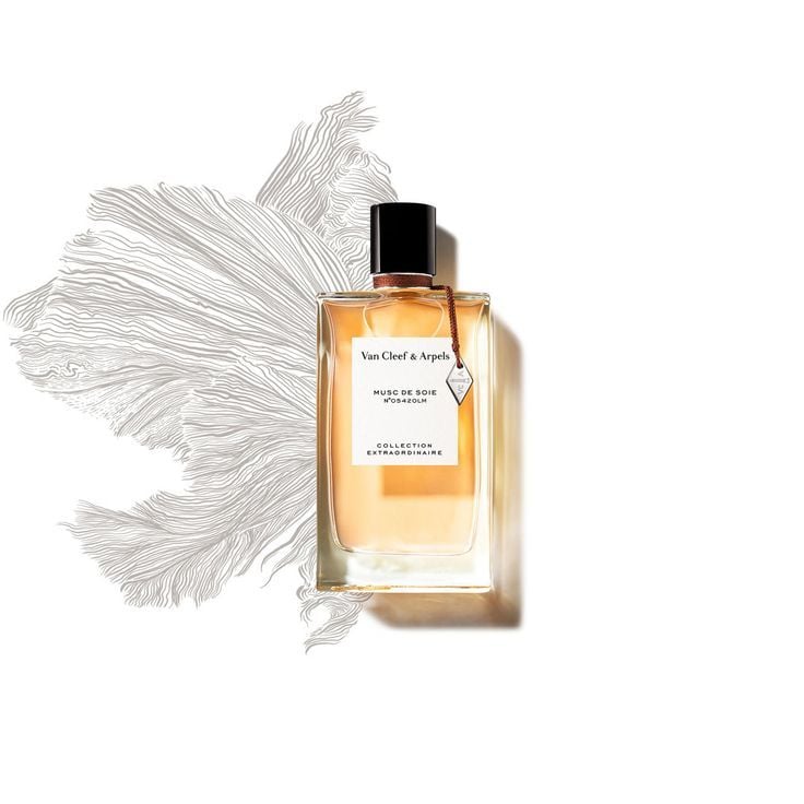 7c5aab78e6e5d707e2e73f904adce8