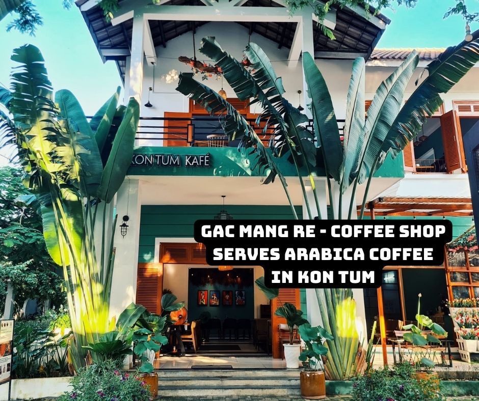 Why Gac Mang Re Cafe is the Best Arabica Coffee Shop in Kon Tum