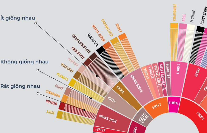 Cách sử dụng vòng tròn hương vị cà phê Coffee Taster’s Flavor Wheel