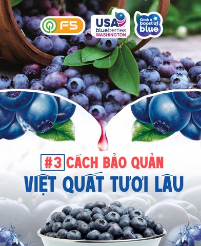 🧊 3 CÁCH BẢO QUẢN VIỆT QUẤT TƯƠI LÂU HƠN