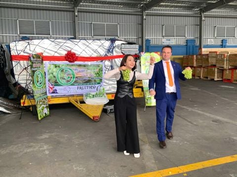 CHUYẾN HÀNG NHO XANH FRUTICO ĐẦU TIÊN NĂM 2025 CẬP BẾN AN MINH - F5 FRUITSHOP