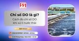 Chỉ số DO là gì? Cách đo chỉ số DO khi xử lí nước thải