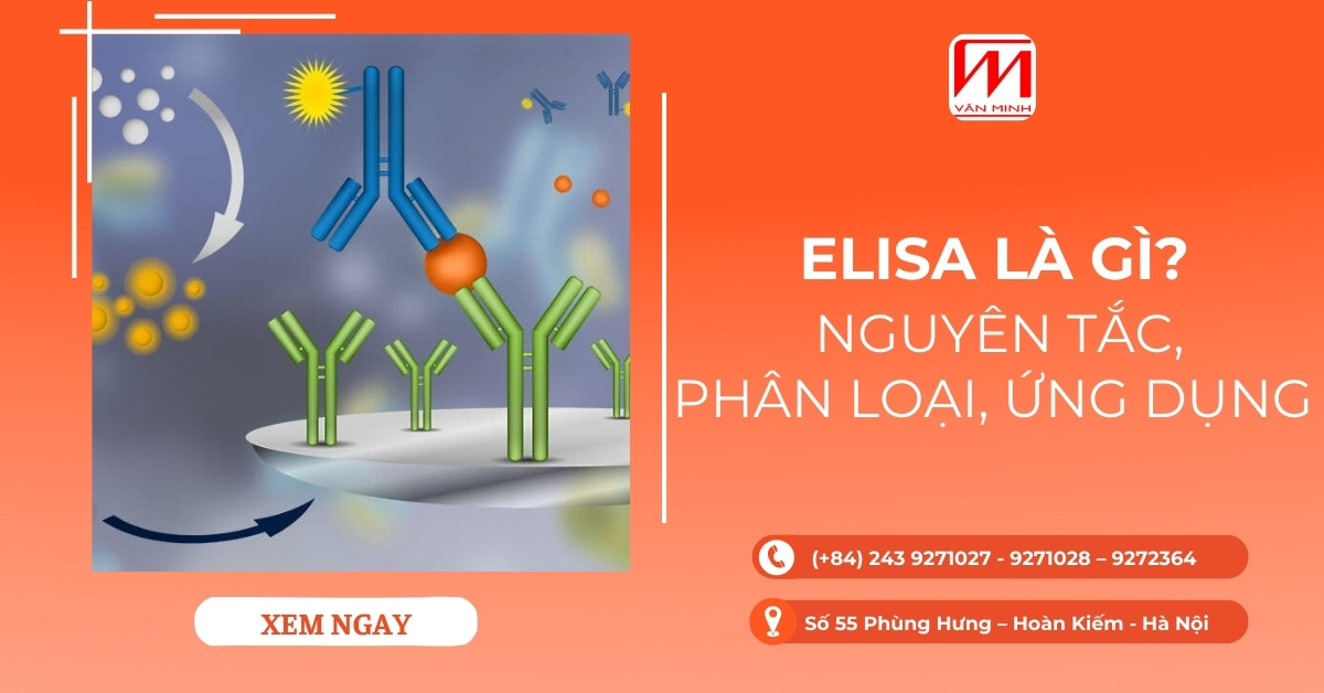 ELISA là gì? Nguyên tắc hoạt động, phân loại, ứng dụng