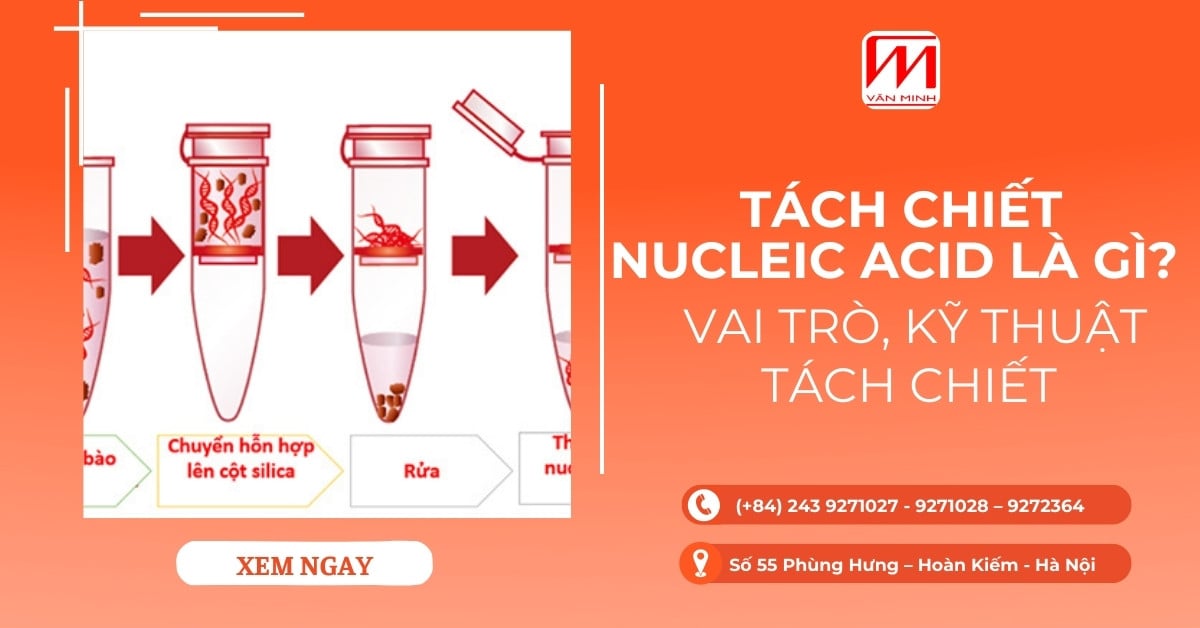 Tách chiết nucleic acid là gì? Vai trò, kỹ thuật tách chiết