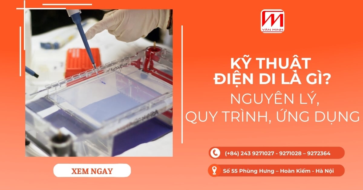 Kỹ thuật điện di là gì? Nguyên lý, quy trình và ứng dụng