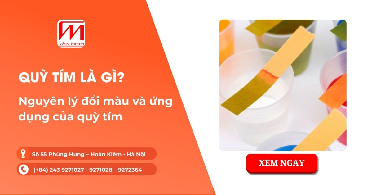 Quỳ tím là gì? Nguyên lý đổi màu và ứng dụng của quỳ tím