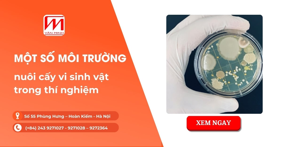 Một số môi trường nuôi cấy vi sinh vật trong thí nghiệm