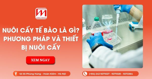 Nuôi Cấy Tế Bào Là Gì? Phương Pháp Và Thiết Bị Nuôi Cấy