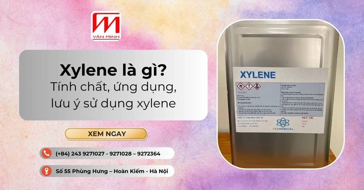 Xylene là gì? Tính chất, ứng dụng, lưu ý sử dụng xylene
