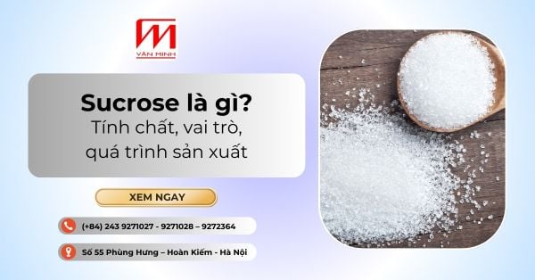 Sucrose là gì? Tính chất, vai trò, quá trình sản xuất