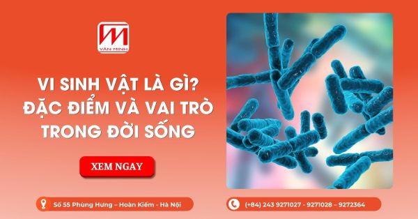 Vi Sinh Vật Là Gì? Đặc Điểm Và Vai Trò Trong Đời Sống