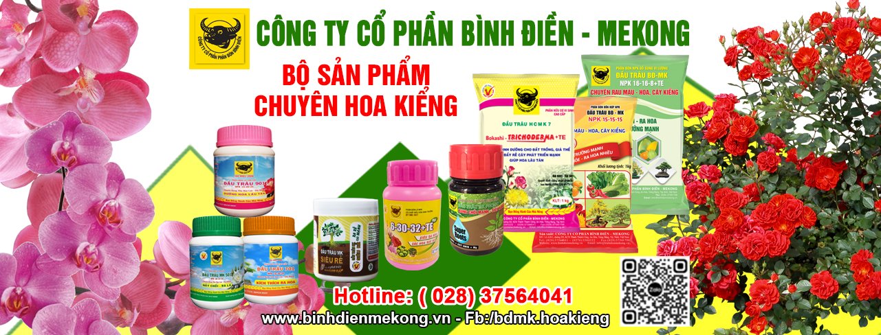 Kỹ thuật bón phân cho hoa, cây cảnh