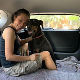 Câu Chuyện Thành Công: Cún Yêu Đã Thay Đổi Như Thế Nào Sau Khi Đi Học Mẫu Giáo