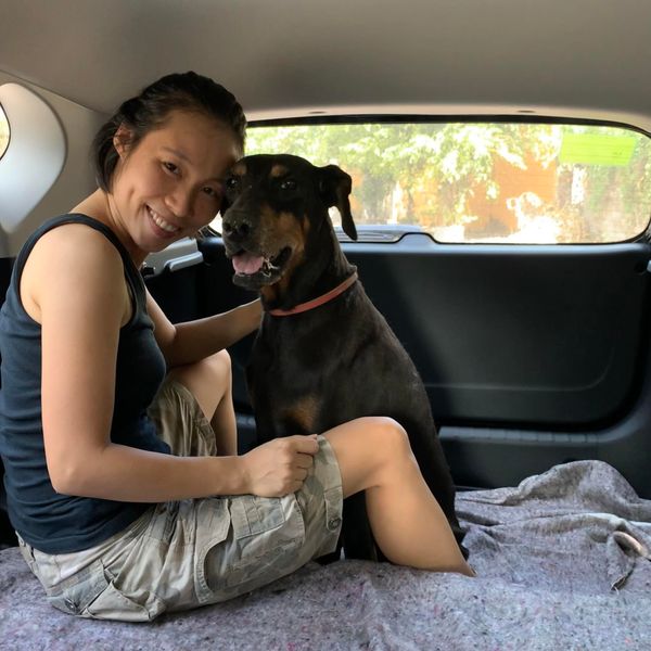 Câu Chuyện Thành Công: Cún Yêu Đã Thay Đổi Như Thế Nào Sau Khi Đi Học Mẫu Giáo