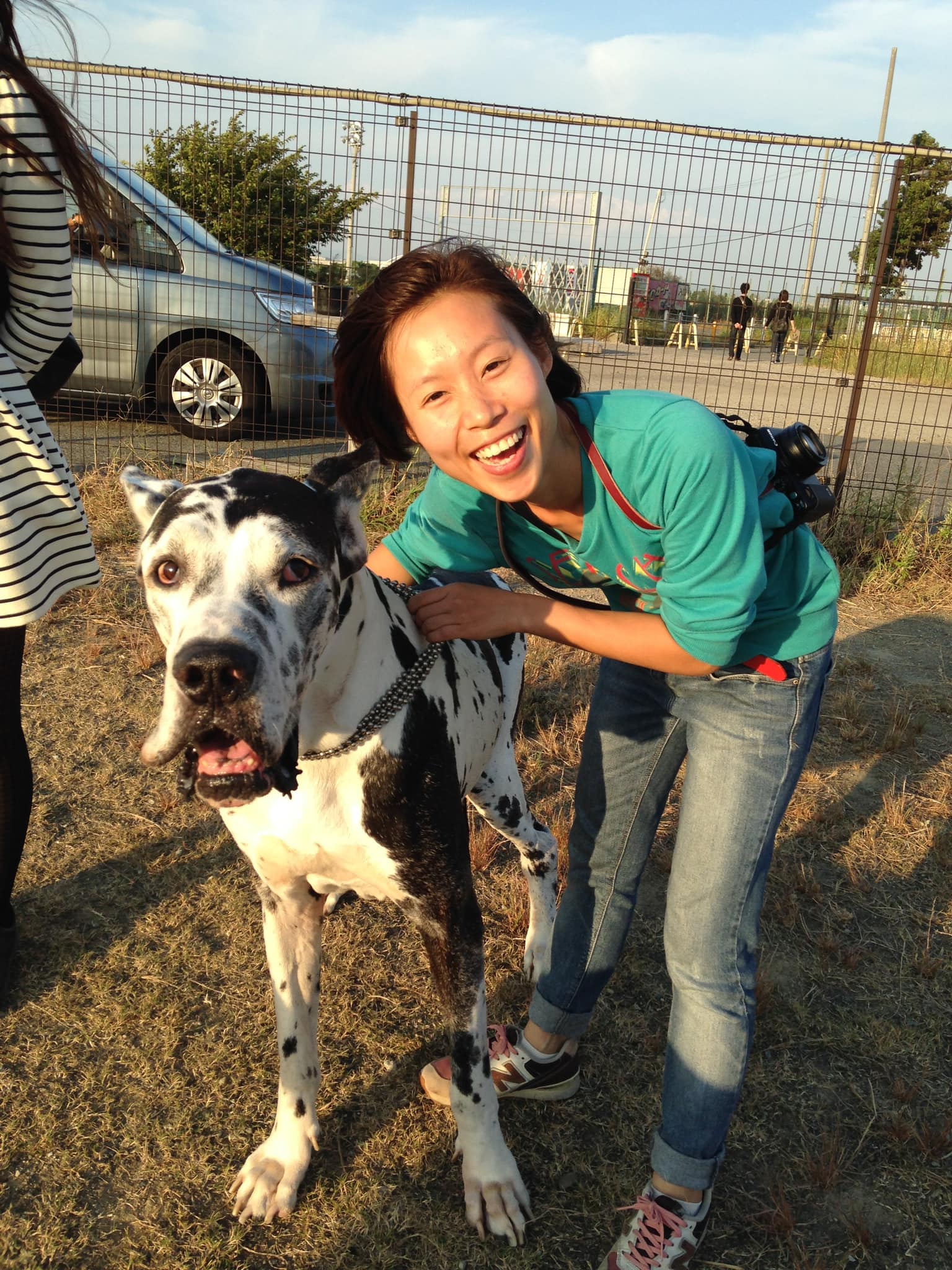 DOG WALKING- Dịch vụ dắt chó đi dạo