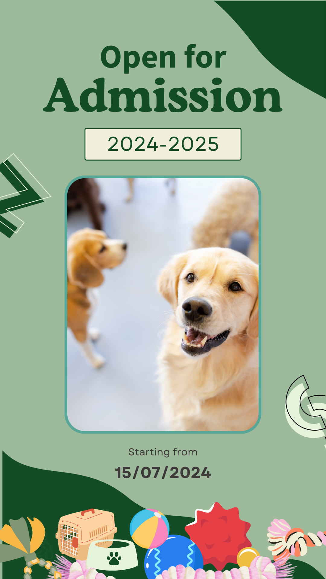 Lợi Ích Không Ngờ Khi Cho Cún Đi Học Mẫu Giáo Hàng Ngày