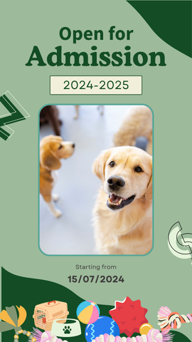 Hướng Dẫn Chọn Lớp Mẫu Giáo Phù Hợp Cho Chó Cưng Của Bạn