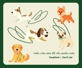 Những Điều Cần Biết Trước Khi Cho Cún Yêu Đi Học Mẫu Giáo