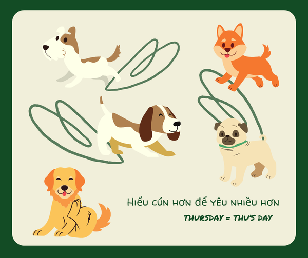 Những Điều Cần Biết Trước Khi Cho Cún Yêu Đi Học Mẫu Giáo