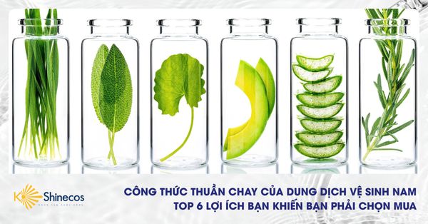 CÔNG THỨC THUẦN CHAY CỦA DUNG DỊCH VỆ SINH NAM - TOP 6 LỢI ÍCH BẠN KHIẾN BẠN PHẢI CHỌN MUA.