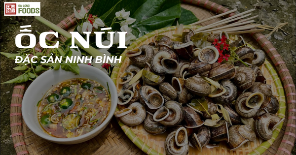 Ốc Núi Ninh Bình – Đặc Sản Độc Đáo Với Cách Chế Biến Thơm Ngon