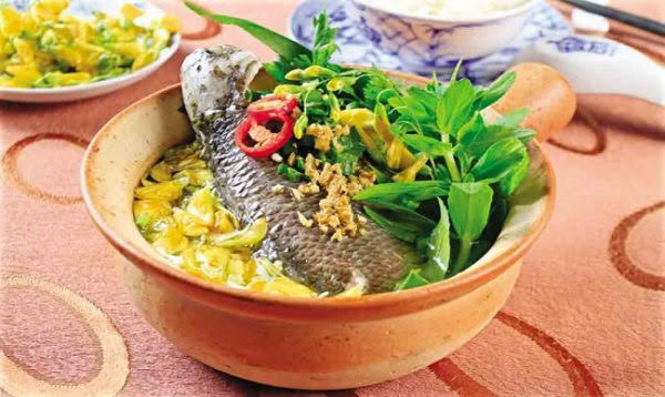 Cá tiến Vua Ninh Bình – Từ đầm lầy Hoa Lư đến bàn tiệc cung đình