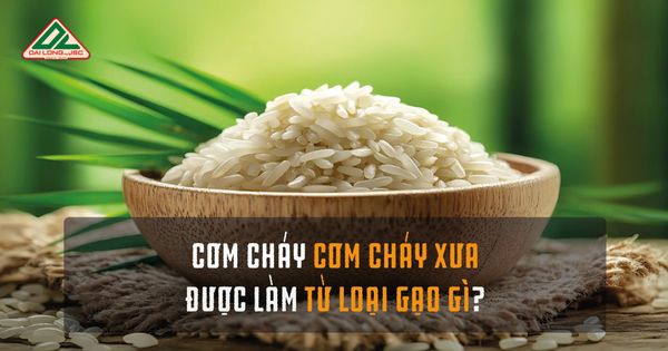 tt88 bắn cá Xưa được làm từ gạo gì?