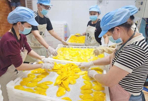 Ưu Đãi Hấp Dẫn Khi Bạn Mua Trái Cây Sấy Giá Sỉ - Đối Tác Đáng Tin Cậy Cho Bạn!