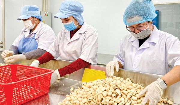Tại Sao Nên Ăn Trái Cây Sấy Thăng Hoa?