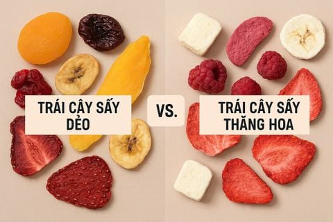 So Sánh Trái Cây Sấy Dẻo Và Trái Cây Sấy Thăng Hoa – Đâu Là Lựa Chọn Phù Hợp Nhất?