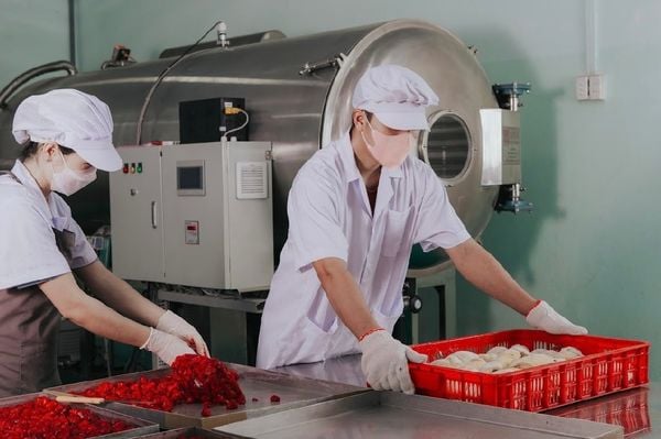 Trái Cây Sấy Là Gì? Các Phương Pháp Sấy Trái Cây Phổ Biến Nhất Hiện Nay