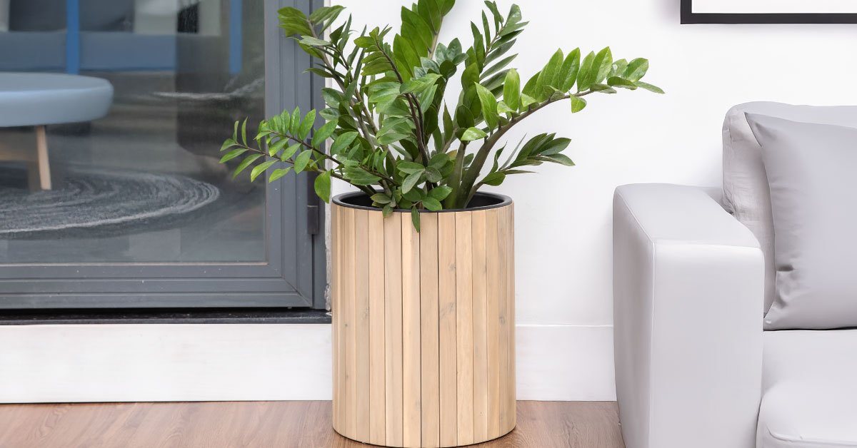 Chậu Trồng Cây Tròn - Cylinder Planter Box
