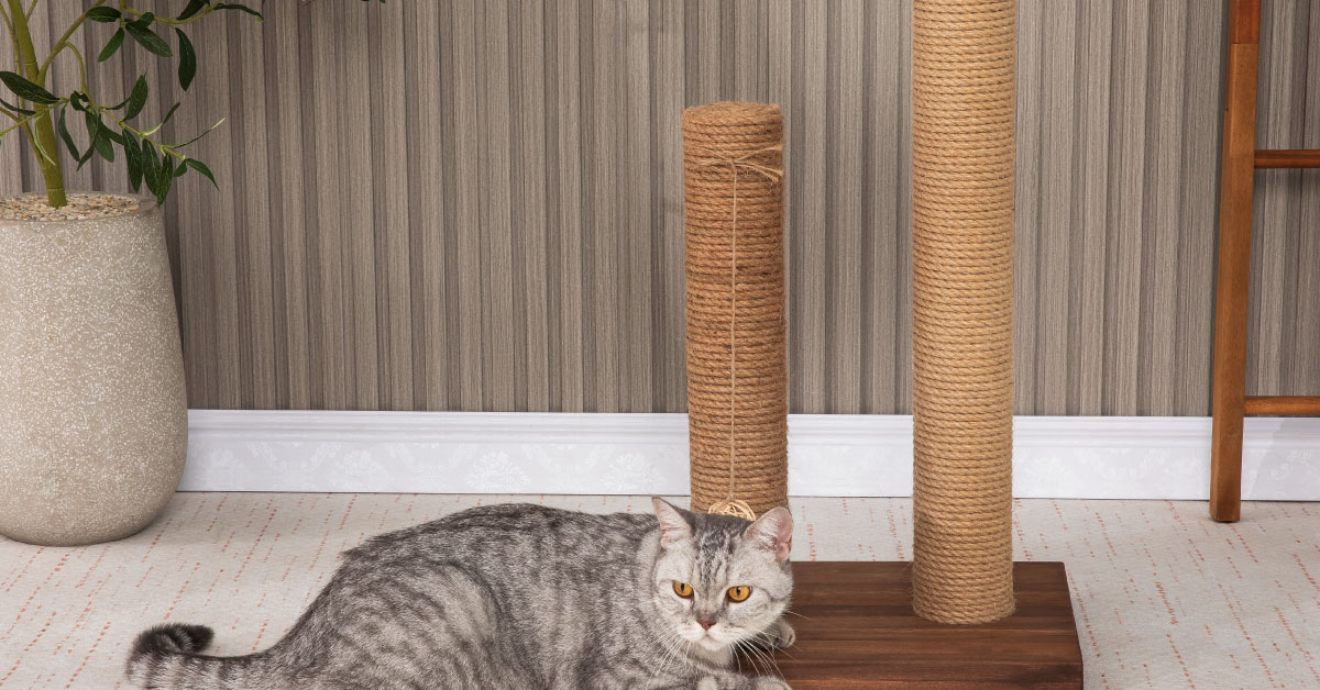Trụ Cào Móng Mèo Đôi – Cat Scratching Double Post