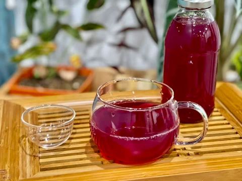 Uống nước lá tía tô có tác dụng gì đối với cơ thể?