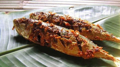 Gợi ý 10+ cách ướp cá nướng đơn giản, thơm ngon tại nhà