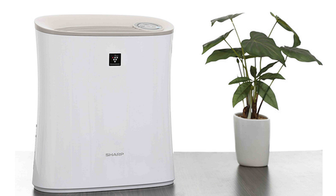 Top 5 máy lọc không khí nào tốt nhất hiện nay