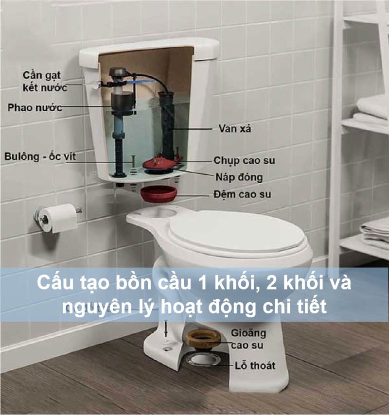 Cấu tạo bồn cầu và nguyên lý hoạt động chi tiết