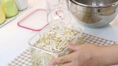 Cách bảo quản giá đỗ tươi ngon, không thâm đen 7 ngày