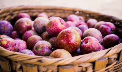 Cách bảo quản mận tươi lâu đảm bảo chất lượng