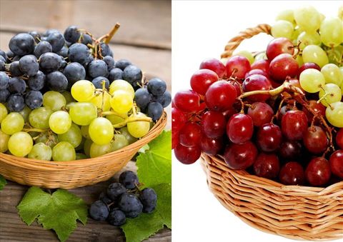 Hướng dẫn cách bảo quản nho tươi lâu ngon
