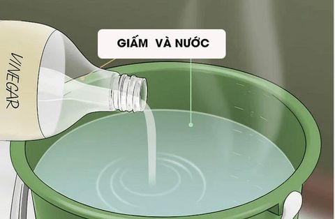 10 Cách lau nhà sạch bóng, vệ sinh sàn nhà nhanh gọn hiệu quả