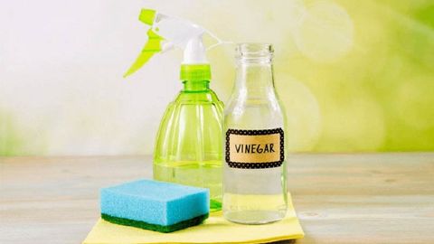 Cách vệ sinh tủ lạnh bằng giấm nhanh chóng, tiện lợi, hiệu quả