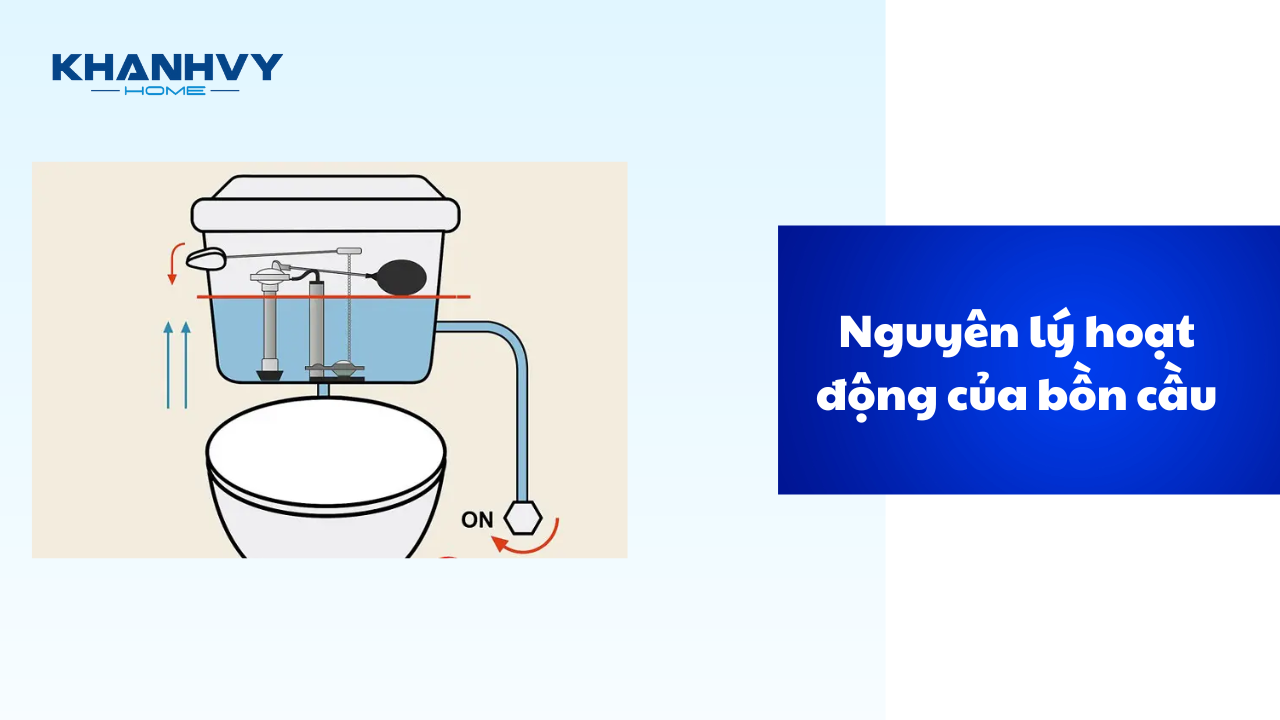 Cấu tạo bồn cầu và nguyên lý hoạt động bồn cầu chi tiết