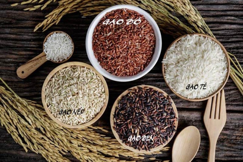 lượng cơm phụ thuộc vào loại gạo