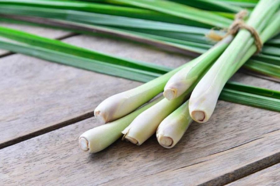 Cách chống muỗi bằng sả cực hiệu quả