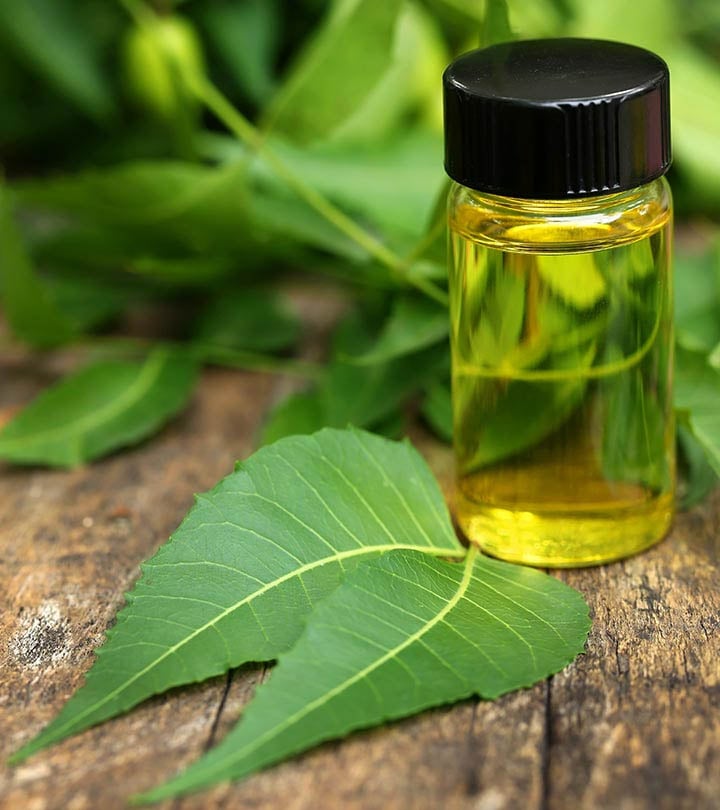 Dầu neem có tính chất chống muỗi và có thể giúp đuổi muỗi hiệu quả