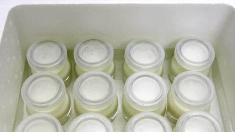 Cách ủ sữa chua bằng thùng xốp, thùng đá