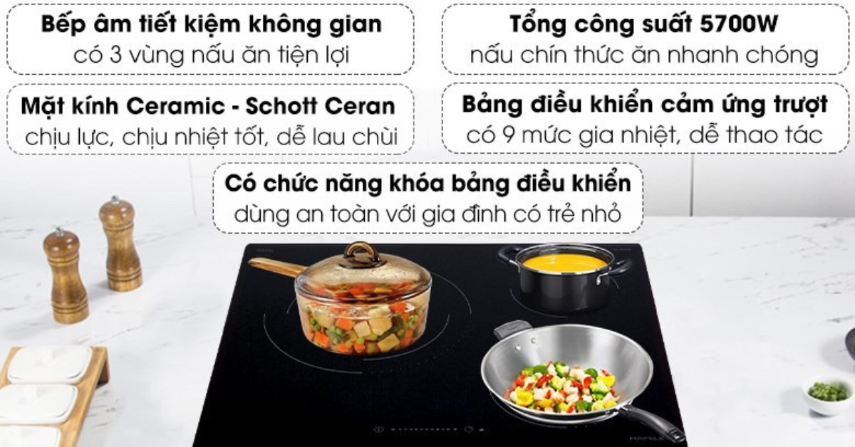 Hướng dẫn sử dụng Bếp điện Hafele HC-R603D 536.01.901