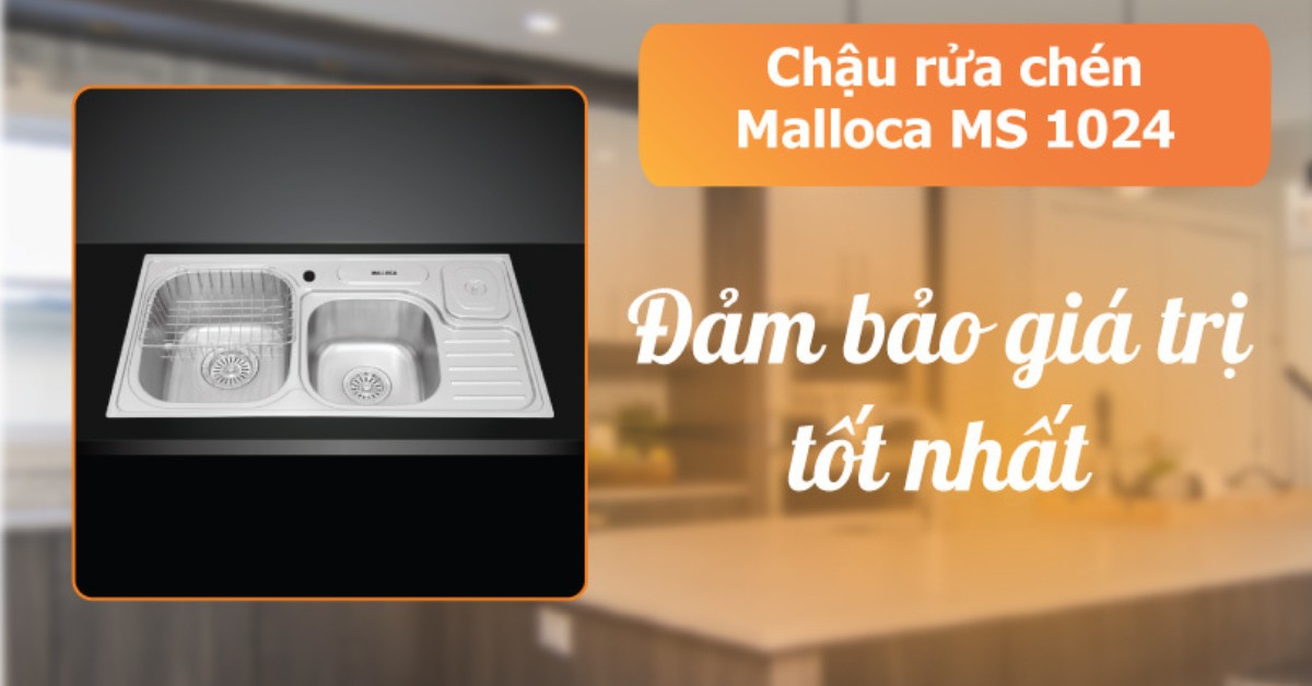Chậu rửa chén Malloca MS 1024